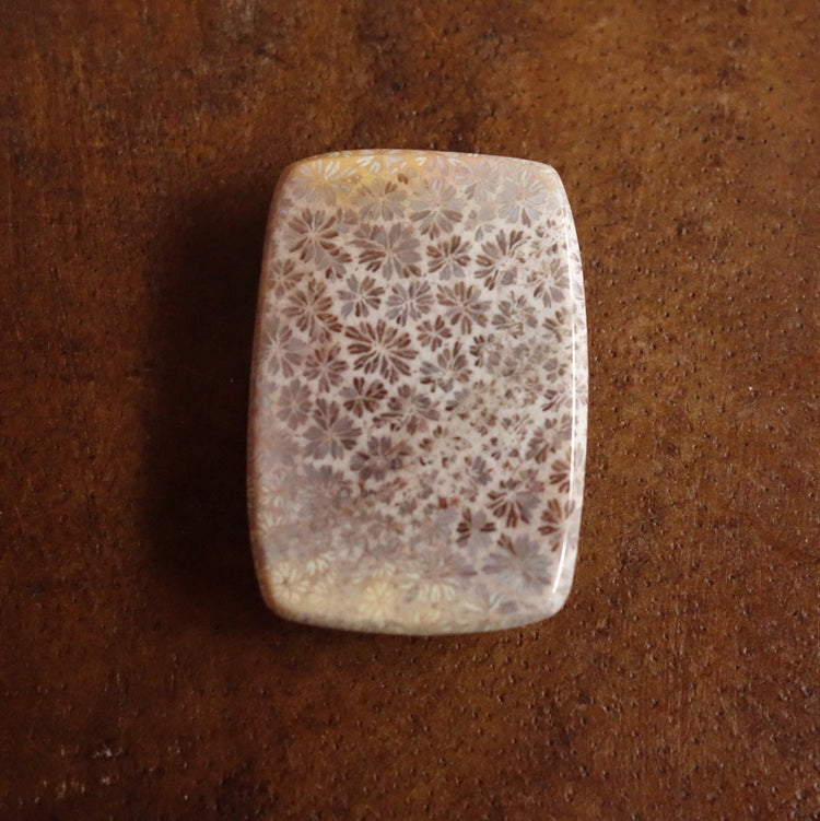 フォッシルコーラル　天然石ルース