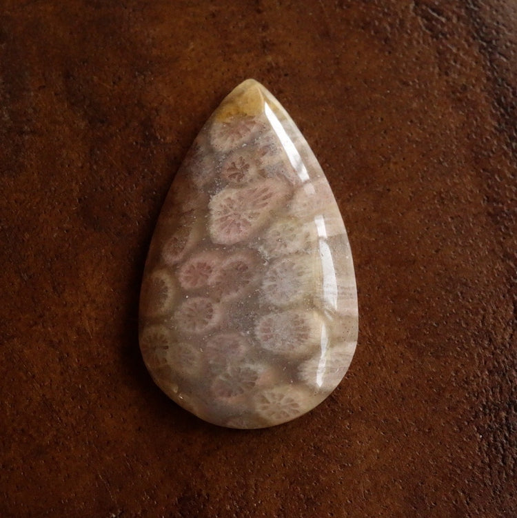 フォッシルコーラル　天然石ルース