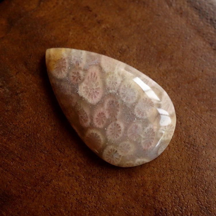 フォッシルコーラル　天然石ルース