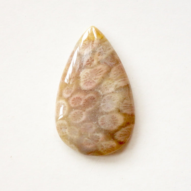 フォッシルコーラル　天然石ルース