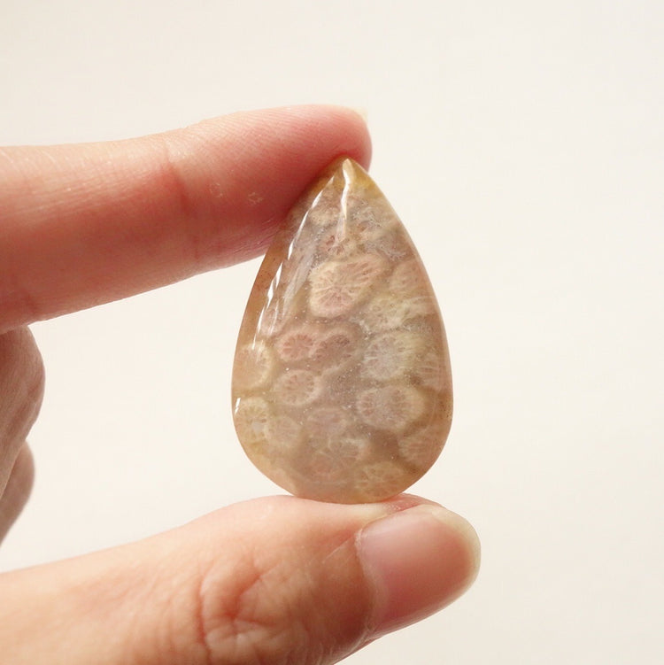 フォッシルコーラル　天然石ルース