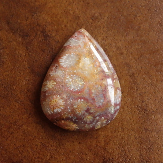 フォッシルコーラル　天然石ルース