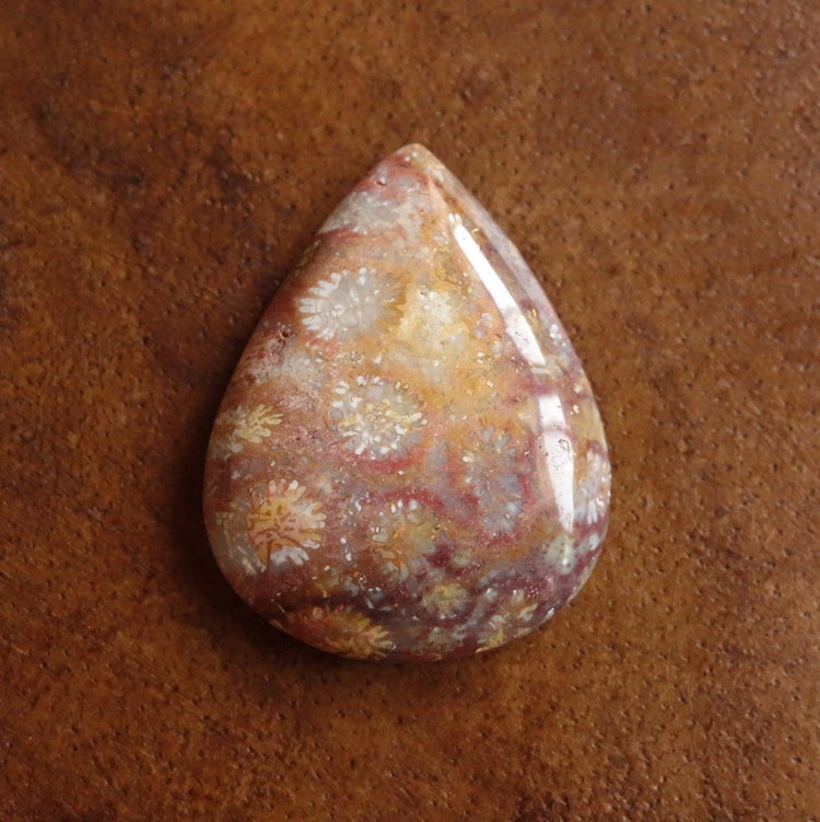 フォッシルコーラル　天然石ルース