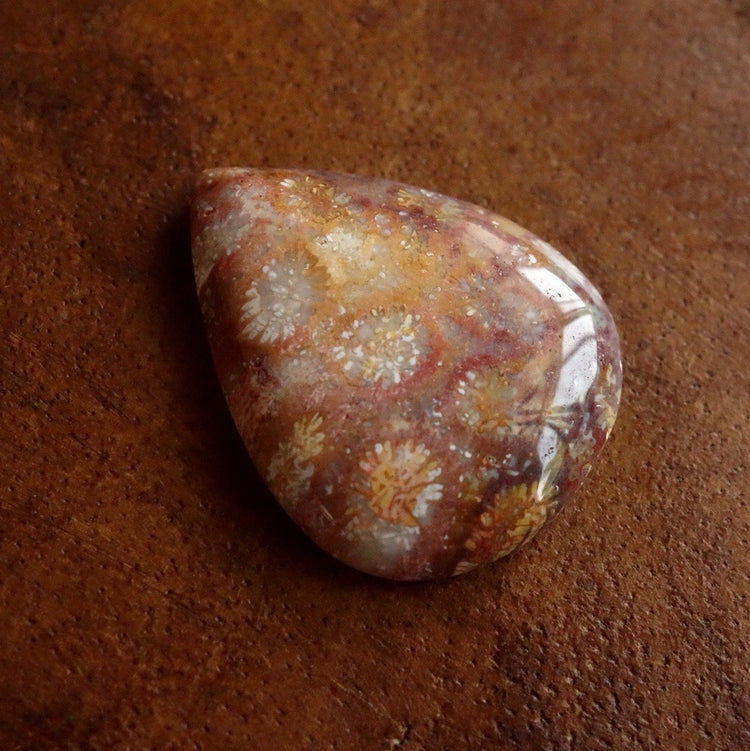 フォッシルコーラル　天然石ルース