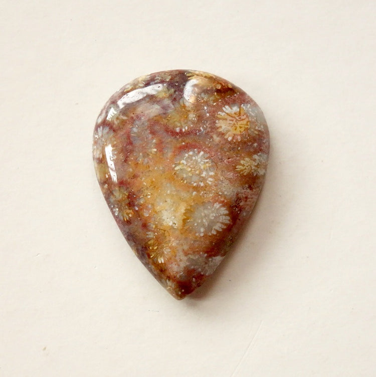 フォッシルコーラル　天然石ルース