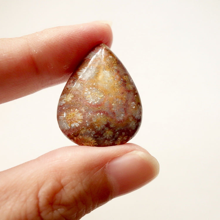 フォッシルコーラル　天然石ルース