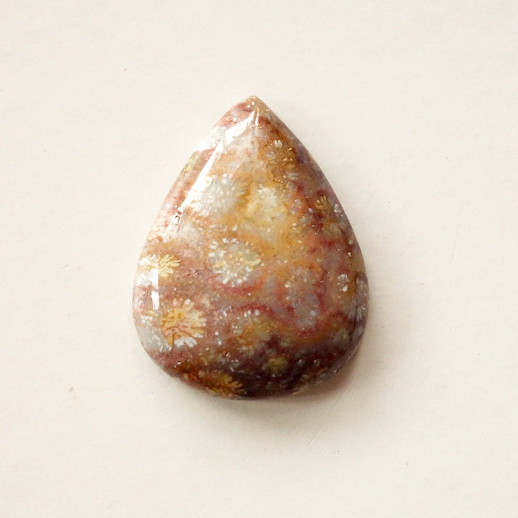 フォッシルコーラル　天然石ルース