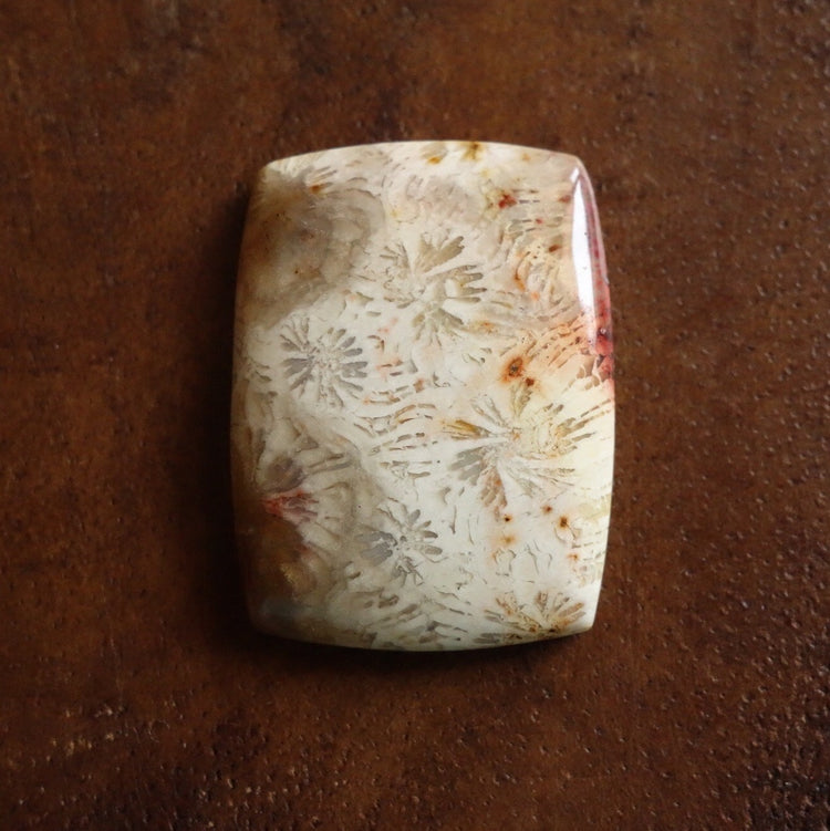 フォッシルコーラル　天然石ルース