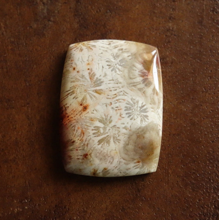 フォッシルコーラル　天然石ルース