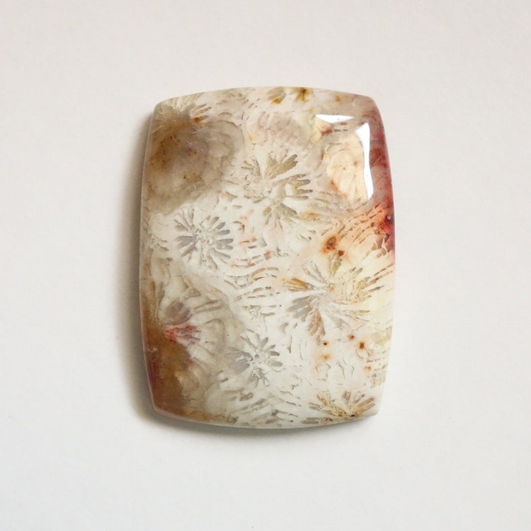 フォッシルコーラル　天然石ルース