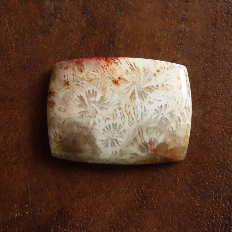 フォッシルコーラル　天然石ルース