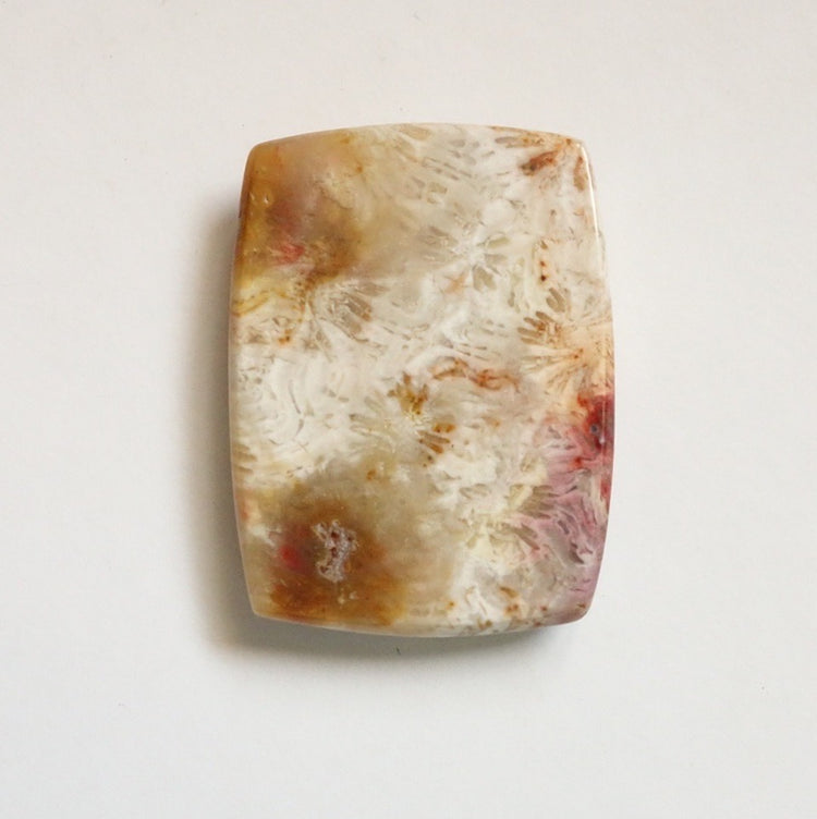 フォッシルコーラル　天然石ルース