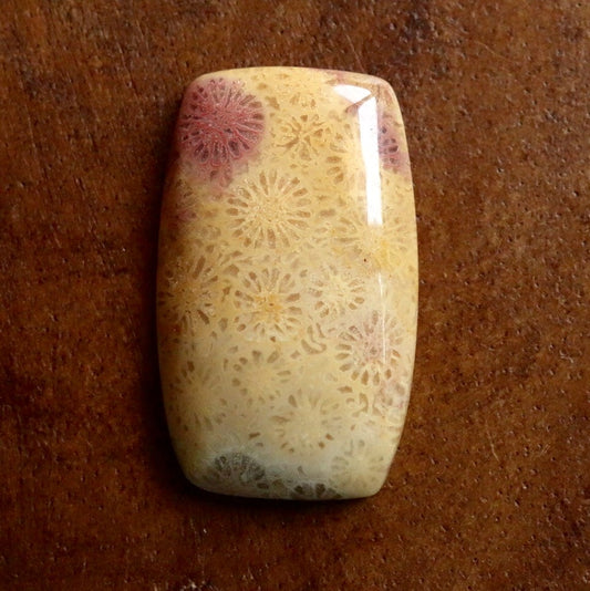 フォッシルコーラル　天然石ルース