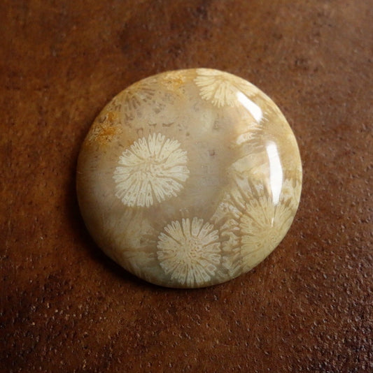 フォッシルコーラル　天然石ルース