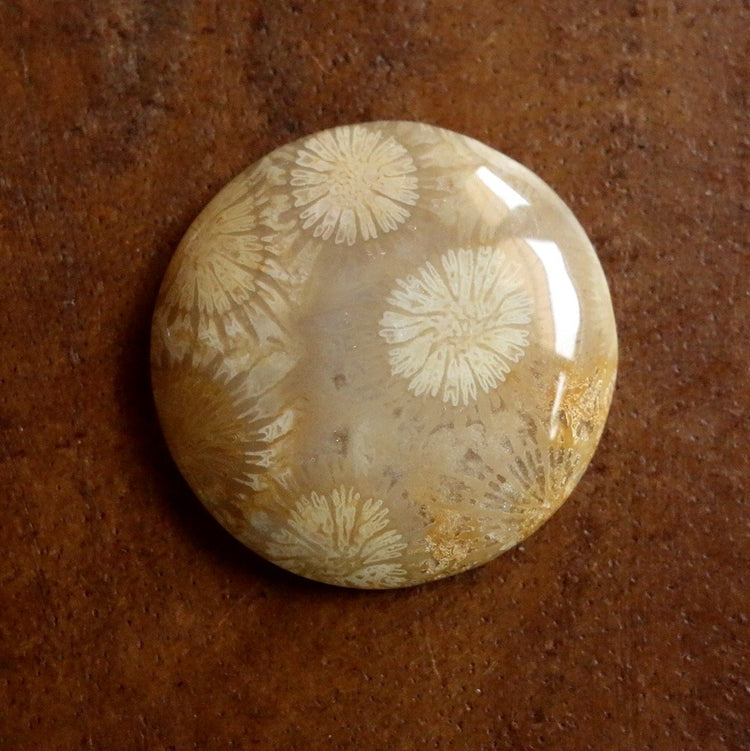 フォッシルコーラル　天然石ルース
