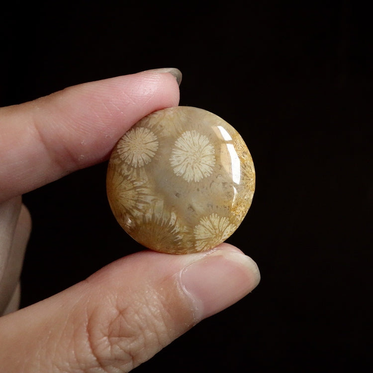 フォッシルコーラル　天然石ルース