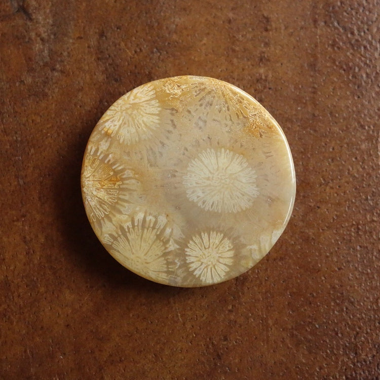 フォッシルコーラル　天然石ルース