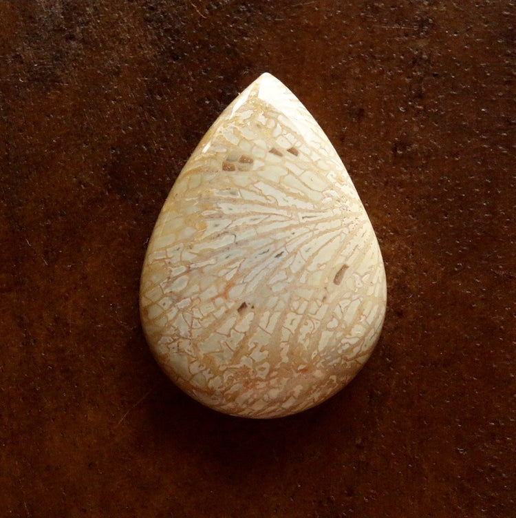 フォッシルコーラル　天然石ルース