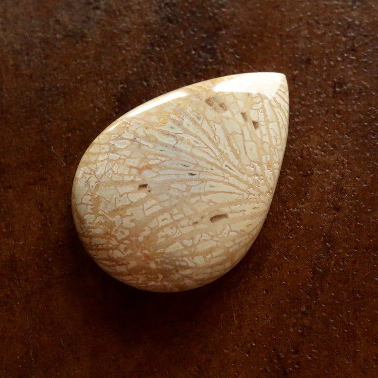 フォッシルコーラル　天然石ルース