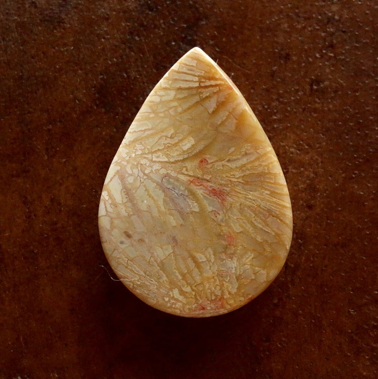 フォッシルコーラル　天然石ルース