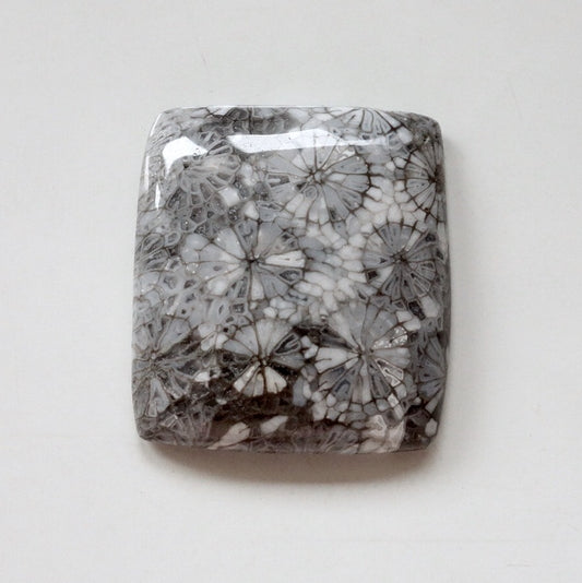 フォッシルコーラル　天然石ルース