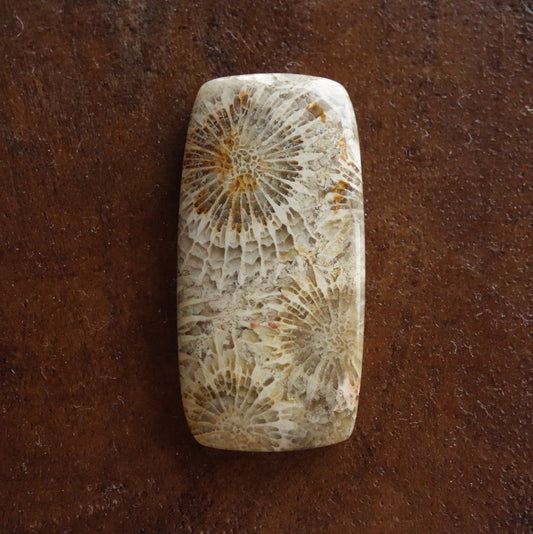 フォッシルコーラル　天然石ルース