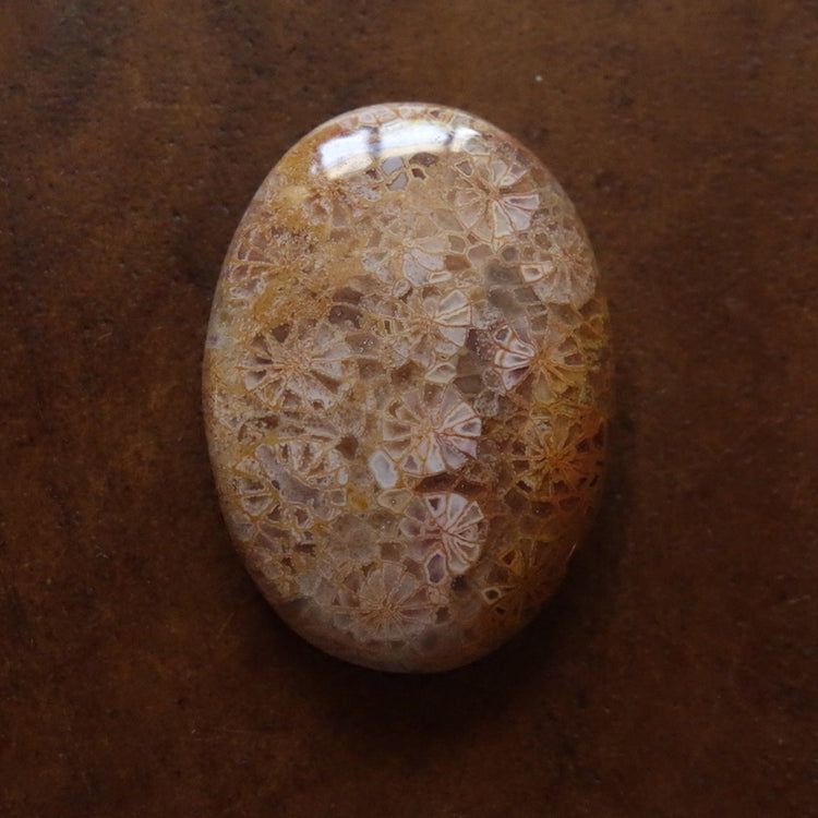 フォッシルコーラル　天然石ルース