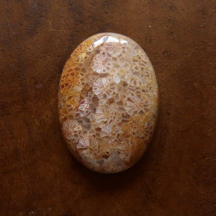 フォッシルコーラル　天然石ルース