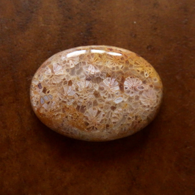 フォッシルコーラル　天然石ルース