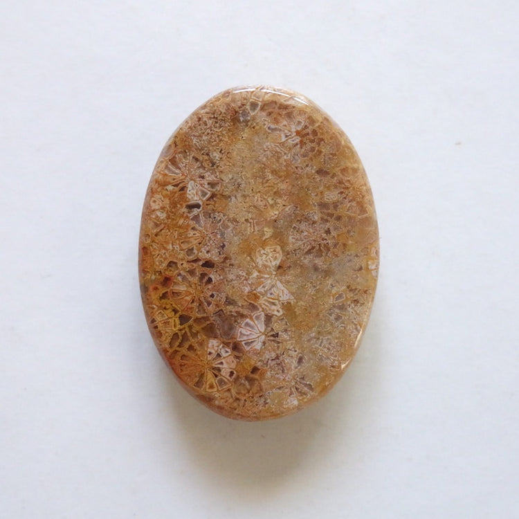 フォッシルコーラル　天然石ルース