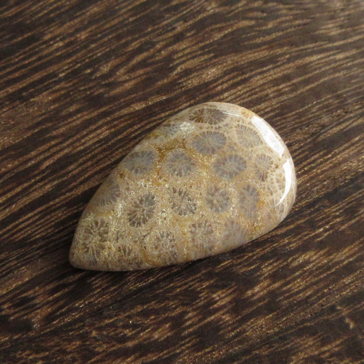 フォッシルコーラル　天然石ルース