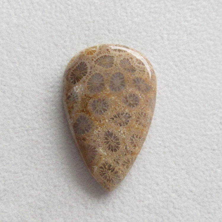 フォッシルコーラル　天然石ルース