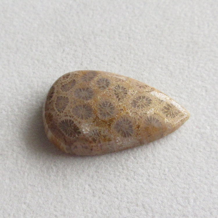 フォッシルコーラル　天然石ルース