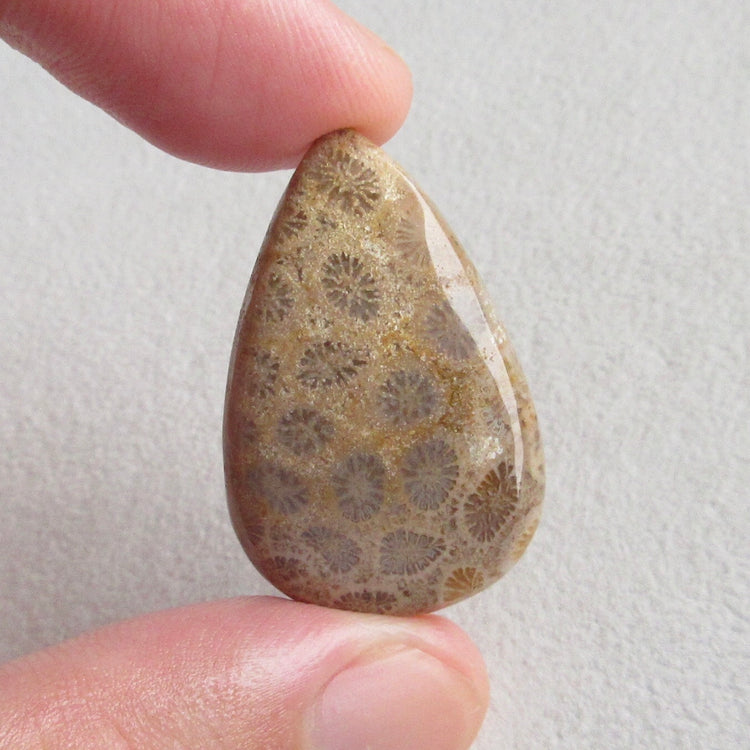 フォッシルコーラル　天然石ルース